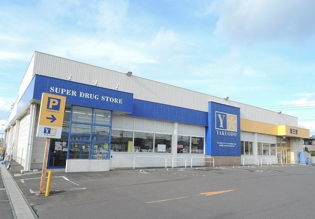 ドラックストア　薬王堂八戸田向店（ドラッグストア）まで950m