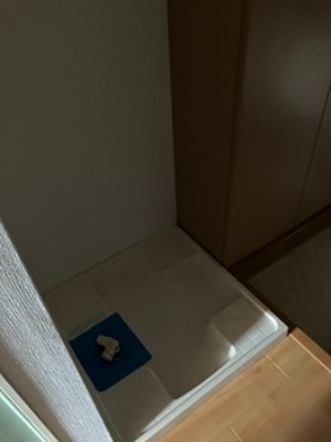 バス・シャワールーム　別の部屋の写真です。