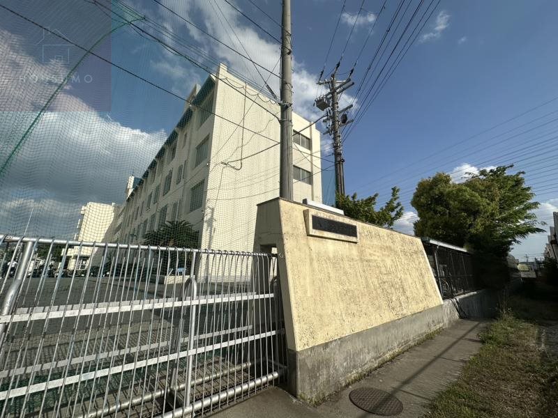 中学校　八尾市立亀井中学校（中学校）まで591m