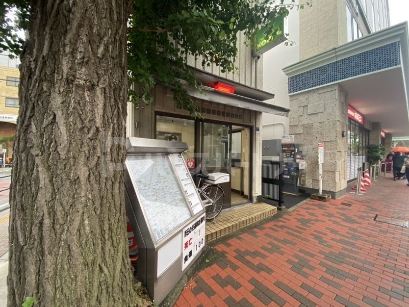 警察署・交番　常盤台交番（警察署・交番）まで210m