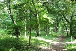 公園　源四季の森（公園）まで1003m