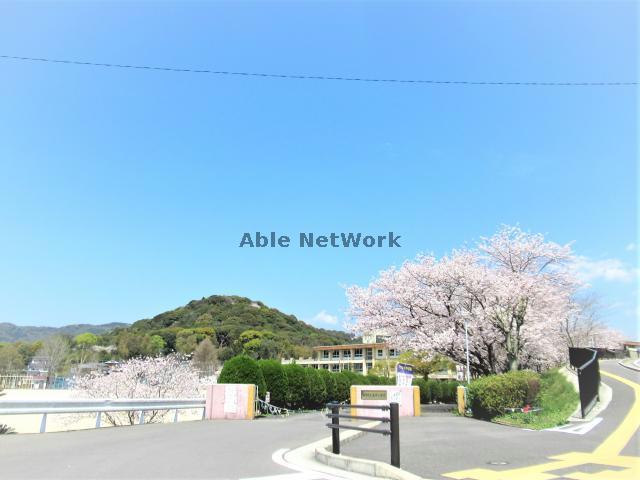 小学校　諫早市立真城小学校（小学校）まで503m