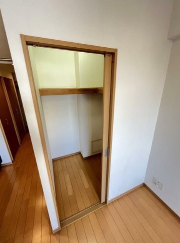 収納　ウォークインクローゼット