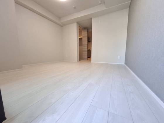 居室・リビング　※別部屋の写真です