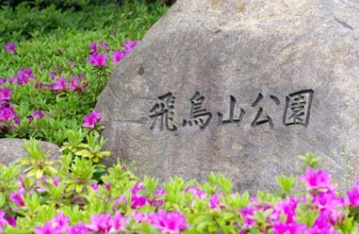 その他　飛鳥山公園（その他）まで258m