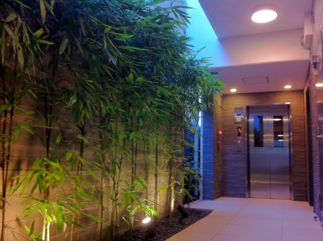 ロビー　ゆとりのあるロビーです