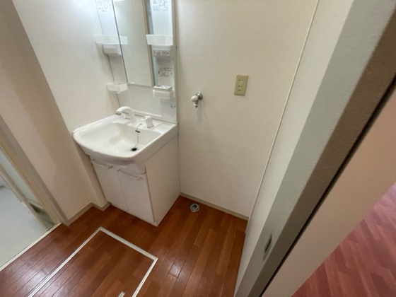 洗面設備　※別部屋の写真です