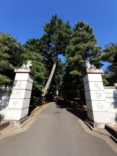 その他　大谿山 豪徳寺（その他）まで180m