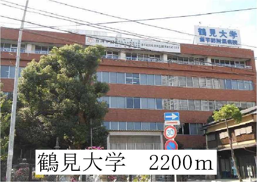 大学・短大　鶴見大学（大学・短大）まで2200m