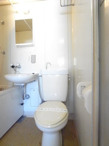 トイレ　同物件・別部屋画像