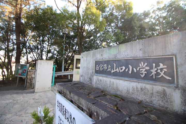 小学校　山口小学校（小学校）まで239m