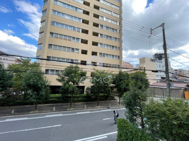 眺望　写真　別タイプ　参考