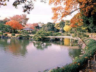 公園　清澄公園（公園）まで64m