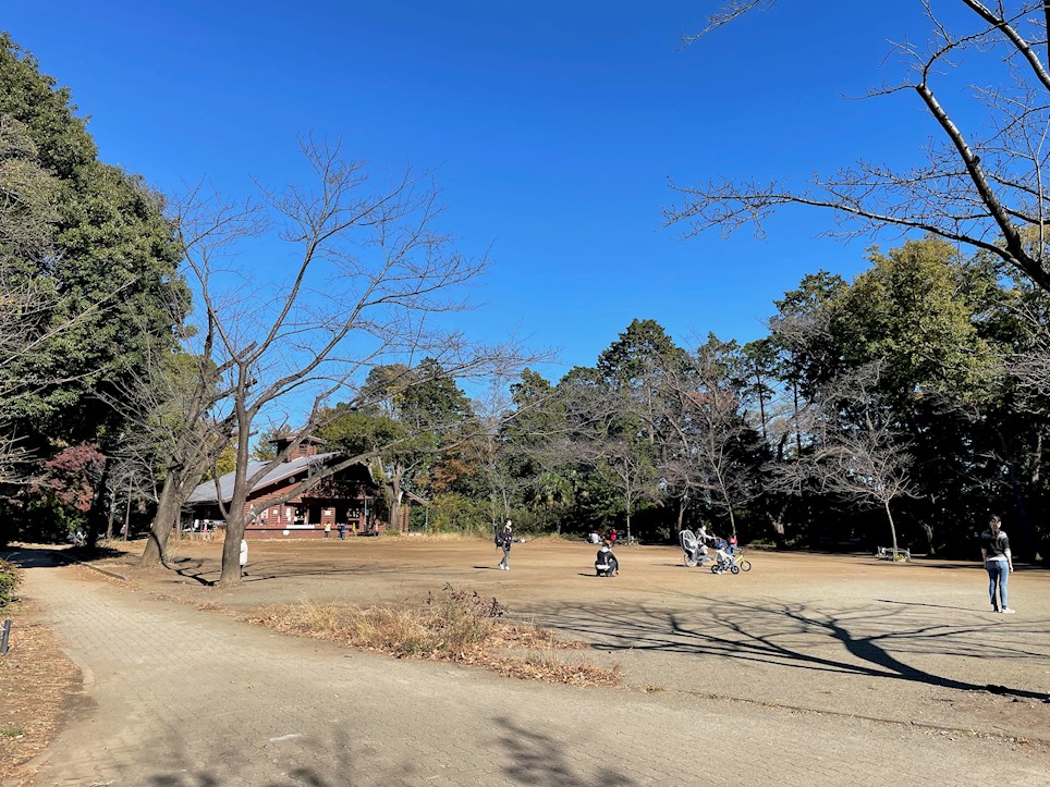 公園　綱島台公園（公園）まで529m