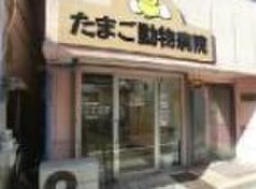 病院　たまご動物病院（病院）まで170m
