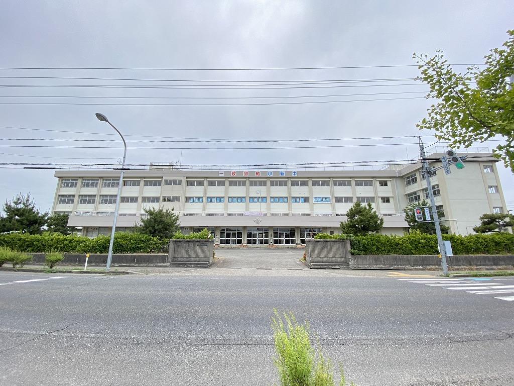 中学校　新潟市立小新中学校（中学校）まで1561m