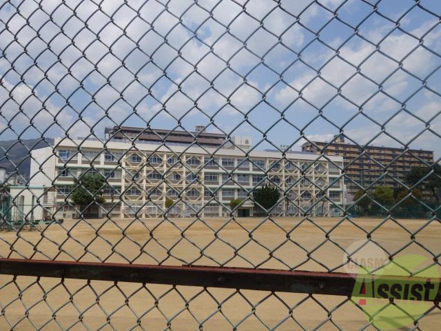 小学校　神戸市立向洋小学校（小学校）まで814m