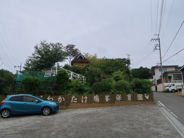 幼稚園・保育園　わかたけ鳩峯保育園（幼稚園・保育園）まで750m