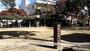 公園　観音本町第一公園（公園）まで930m