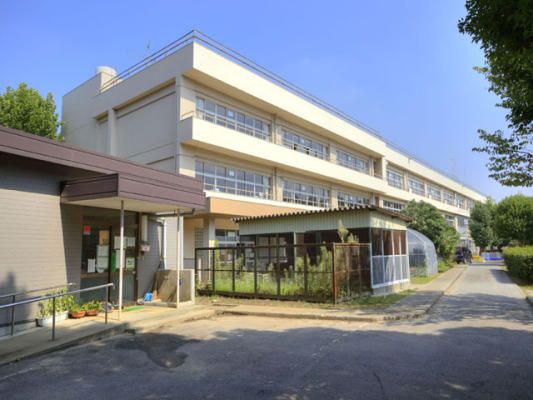 小学校　柏市立藤心小学校（小学校）まで546m