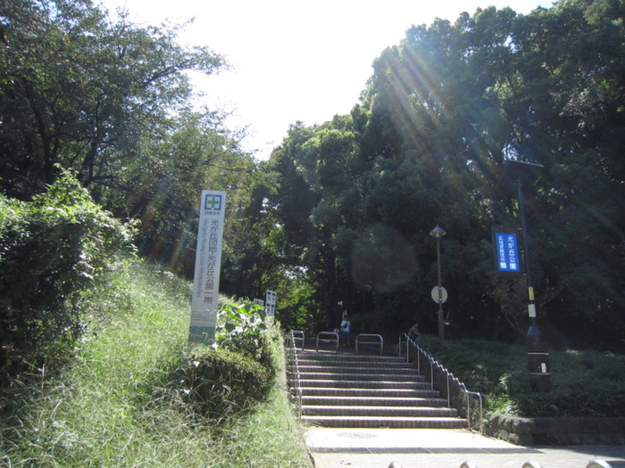 公園　光が丘公園（公園）まで1100m