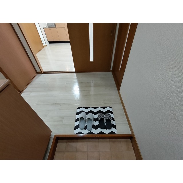 玄関　※同型別部屋の写真です。色味等異なる可能性が有ります。