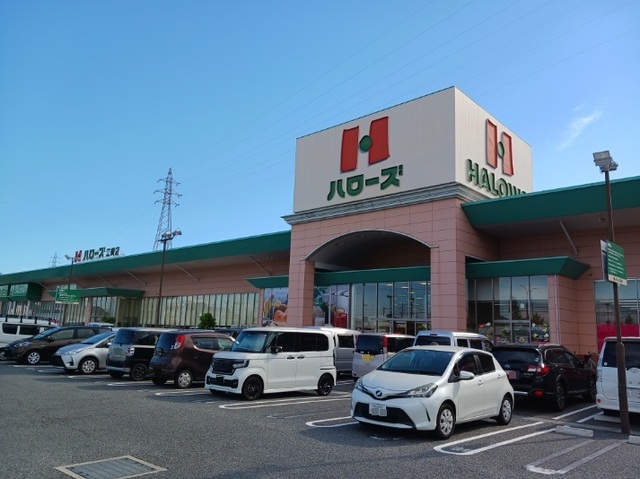 スーパー　ハローズ江崎店（スーパー）まで1197m