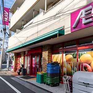 スーパー　まいばすけっと練馬豊玉中1丁目店（スーパー）まで495m