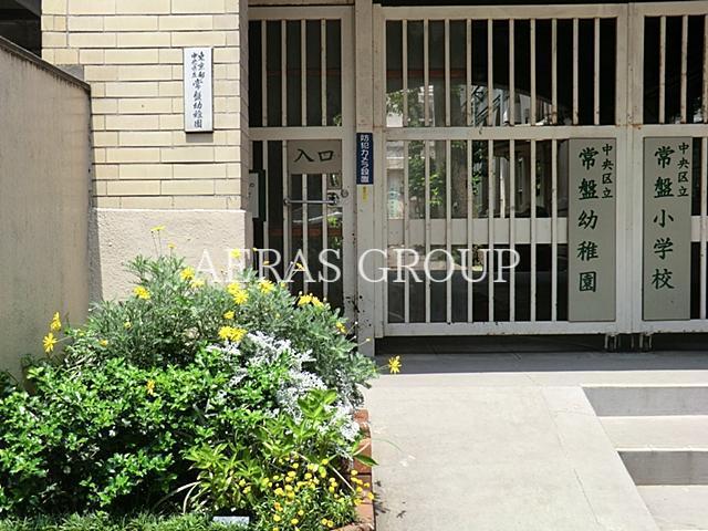 幼稚園・保育園　常磐幼稚園（幼稚園・保育園）まで391m
