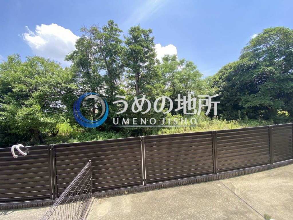 眺望　眺望