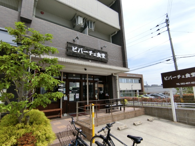 その他　ビバーチェ食堂（飲食店）徒歩3分（その他）まで180m