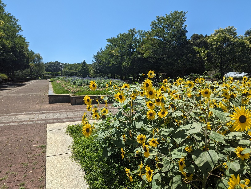 公園　長久保公園（公園）まで672m