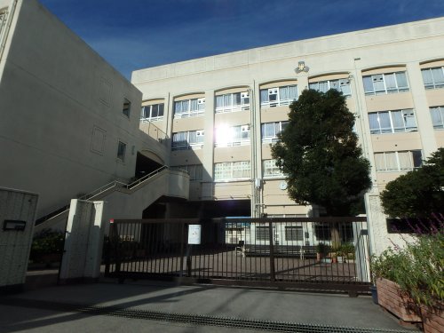 中学校　西高津中学校（中学校）まで1624m