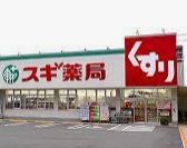 ドラックストア　スギドラッグ 南堀江店（ドラッグストア）まで344m