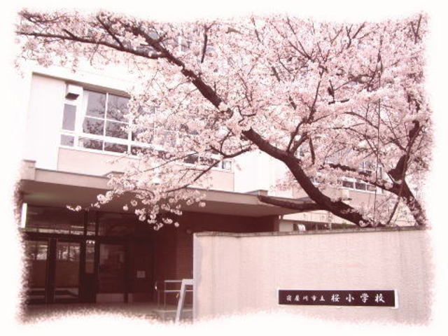 小学校　寝屋川市立桜小学校（小学校）まで856m