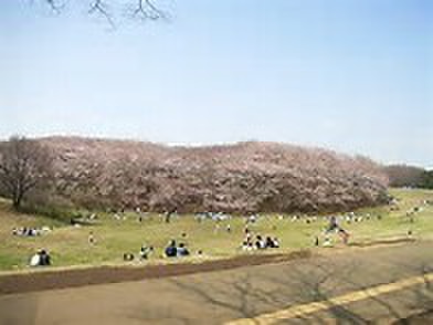 公園　根岸森林公園（公園）まで600m