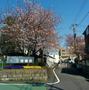 病院　国家公務員共済組合連合会三宿病院（病院）まで830m