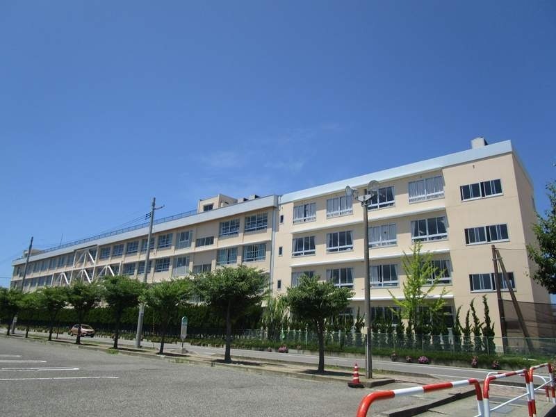 小学校　新潟市立新通小学校（小学校）まで382m