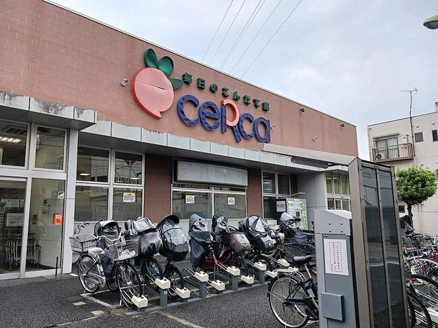 スーパー　ceRca（スーパー）まで511m