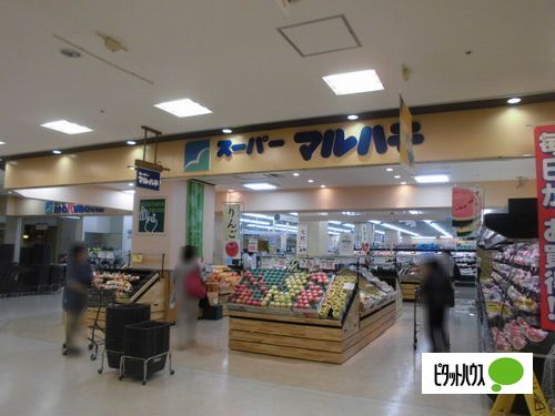 スーパー　スーパーマルハチ明石店（スーパー）まで284m