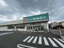 ドラックストア　ドラッグセイムス 戸田中町1丁目店（ドラッグストア）まで618m
