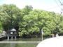 公園　白瀧公園（公園）まで732m