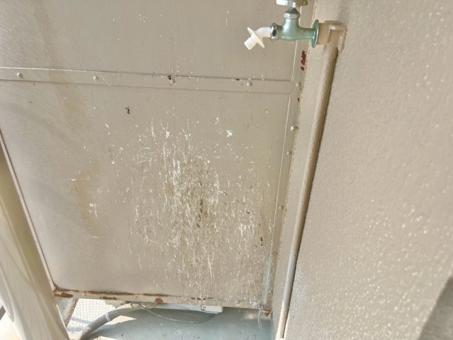 マンション新川のその他写真