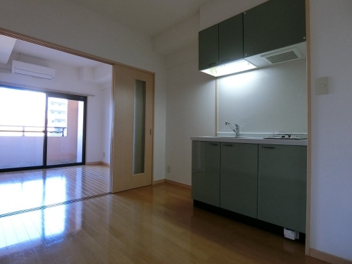居室・リビング　同タイプ別部屋です。