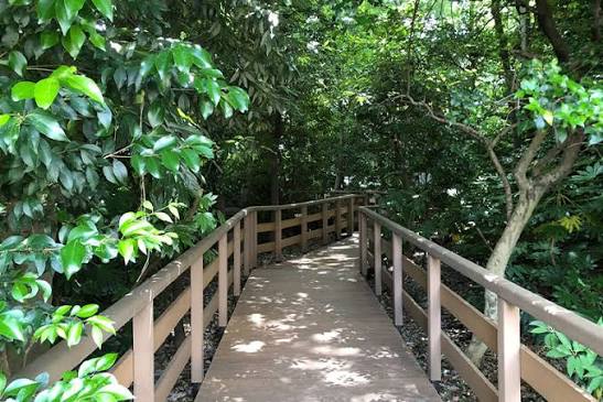 公園　千石緑地（公園）まで146m