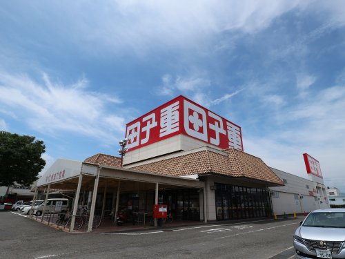 スーパー　スーパー田子重 下川原店（スーパー）まで329m