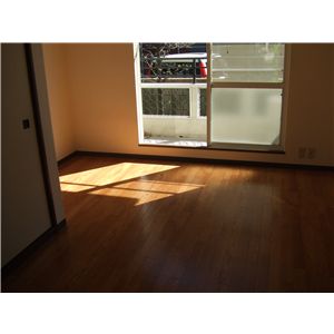 ドミール・タカノのその他写真