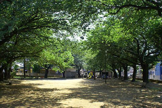 公園　大谷場公園（公園）まで973m