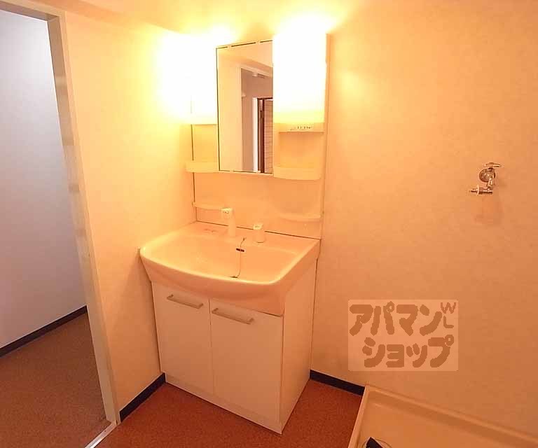 洗面設備　シャンプードレッサー付です。