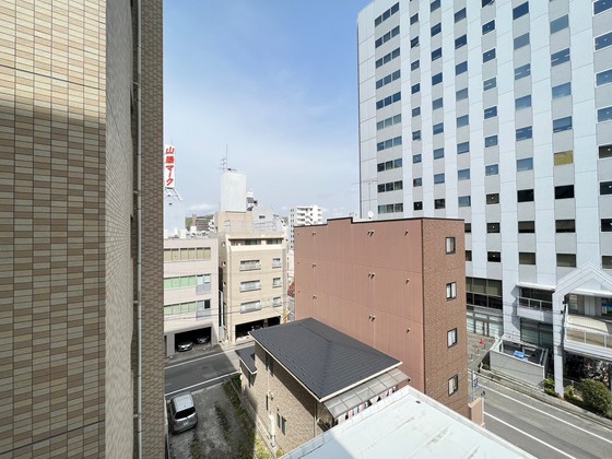 眺望　※別号室の写真です